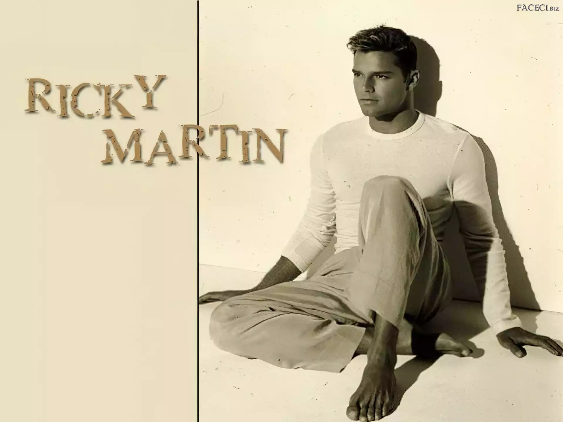 Ricky Martin, Piosenkarz